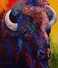 Marion Rose Bison Head Study