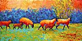 Marion Rose Blackberries and Sheep II