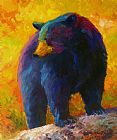 Marion Rose Checking The Smorg - Black Bear