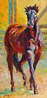 Marion Rose Corral Boss - Mustang