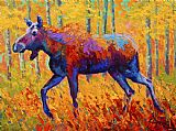 Marion Rose Cow Moose