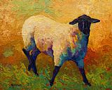Marion Rose Ewe Portrait IV
