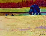 Marion Rose Foraging At Neets Bay - Black Bear