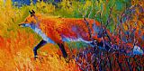 Marion Rose Foxy - Red Fox