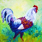 Marion Rose Full Of Himself - Rooster