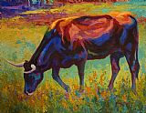 Marion Rose Grazing Texas Longhorn