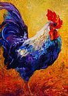 Marion Rose Indy - Rooster