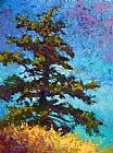 Marion Rose Lone Pine II