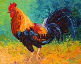 Marion Rose Mr Big - Rooster