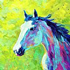 Marion Rose Mustang