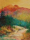 Marion Rose Northern Essence