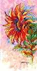 Marion Rose One Sunflower