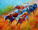 Marion Rose Over The Ridge - Longhorns