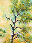 Marion Rose Pine Abstract