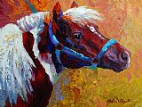 Marion Rose Pony Boy