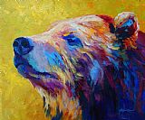 Marion Rose Pretty Boy - Grizzly Bear