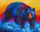 Marion Rose Scouting For Fish - Black Bear