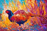 Marion Rose Secrets In The Grass - Pheasant