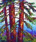 Marion Rose Sequoia