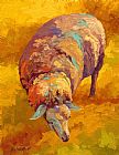 Marion Rose Sheepish