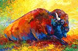 Marion Rose Spirit Brother - Bison