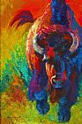 Marion Rose Straight Forward Introduction - Bison