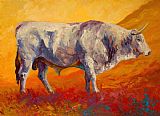 Marion Rose White Bull