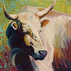 Marion Rose White Bull Portrait