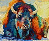 Marion Rose Winter Bison
