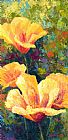 Marion Rose Yellow Field poppies