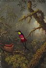 Martin Johnson Heade A Pair of Nesting Crimson Topaz Hummingbirds