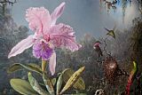 Martin Johnson Heade Cattleya Orchid And Three Hummingbirds