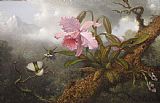 Martin Johnson Heade Cattleya Orchid, Two Hummingbirds, And a Beetle