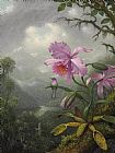 Martin Johnson Heade Hummingbird Perched on The Orchid Plant
