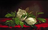 Martin Johnson Heade Magnolia