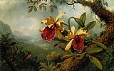 Martin Johnson Heade Orchids And Hummingbird
