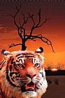 Michael Greenaway Wildlife Sunset