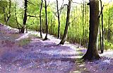 Paul Dene Marlor Bluebell wood