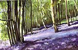Paul Dene Marlor Bluebells at Grimescar wood