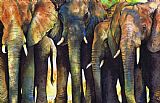 Paul Dene Marlor Elephant Herd