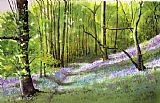 Paul Dene Marlor Path through bluebell wood