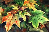 Paul Dene Marlor Sycamore Leaves
