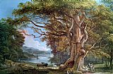 Paul Sandby An Ancient Beech Tree