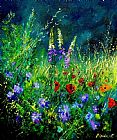 Pol Ledent Wild Flowers