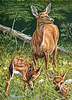 Richard De Wolfe Mothers Worry