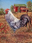 Richard De Wolfe Silver Laced Rock Rooster