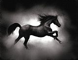Robert Foster Running Horse