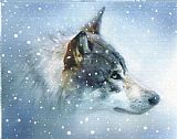 Robert Foster Snow Eyes
