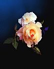 Robert Foster Yellow Rose