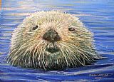 Steven Mills California Otter